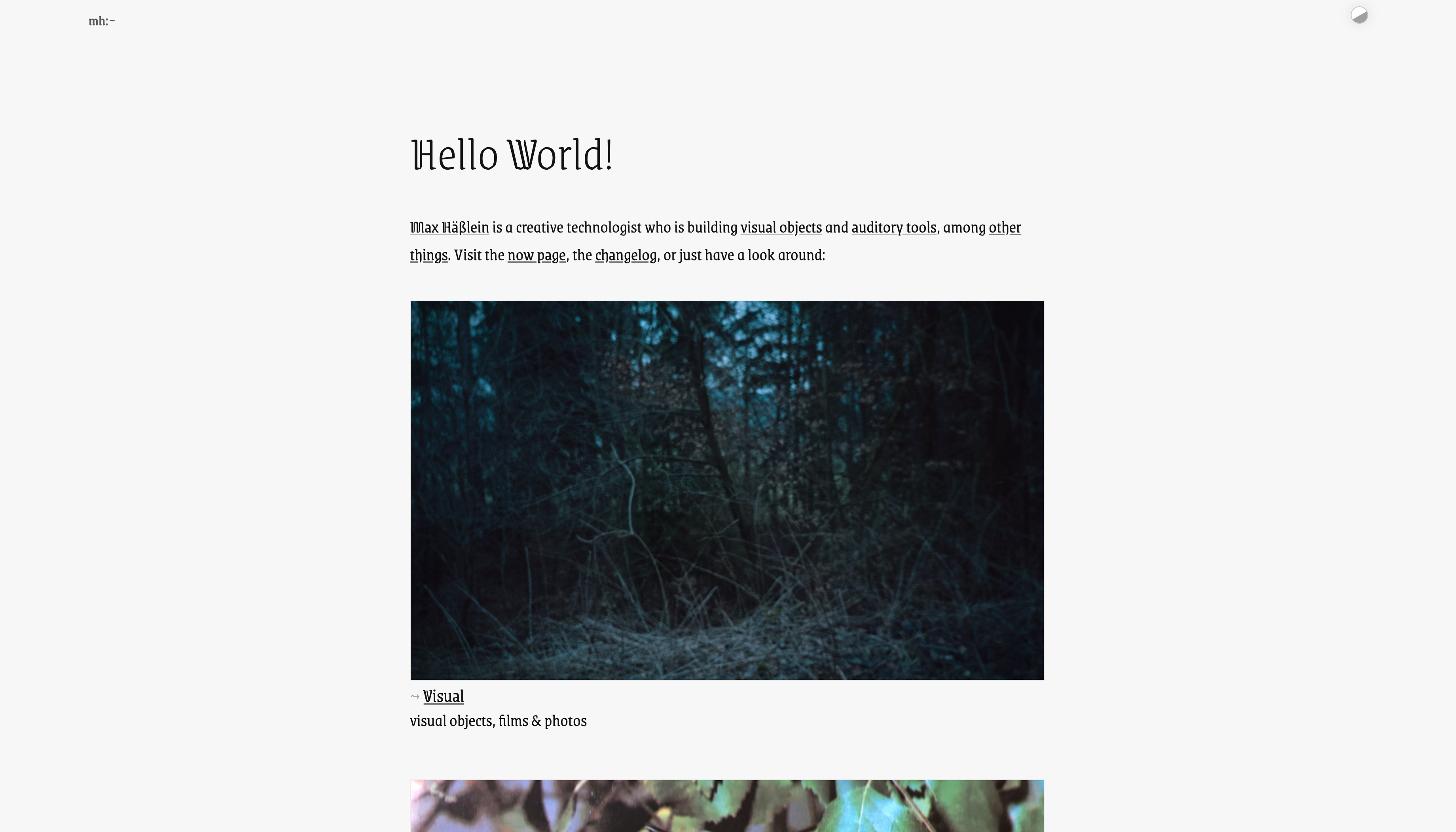 A screenshot of Max Haesslein's website